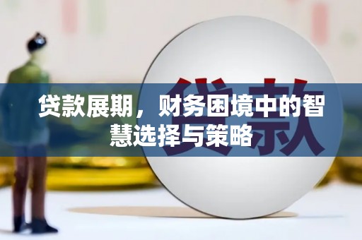 涉县贷款展期，财务困境中的智慧选择与策略