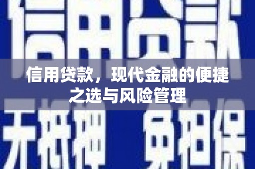 涉县信用贷款，现代金融的便捷之选与风险管理