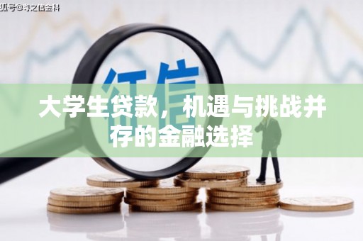 涉县大学生贷款，机遇与挑战并存的金融选择