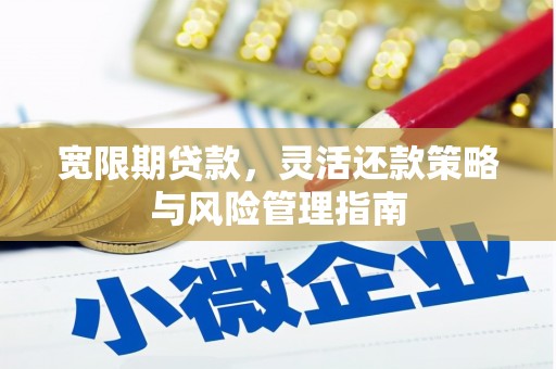 涉县宽限期贷款，灵活还款策略与风险管理指南