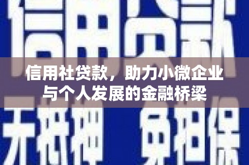 涉县信用社贷款，助力小微企业与个人发展的金融桥梁