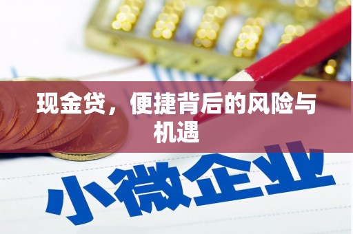 涉县现金贷，便捷背后的风险与机遇