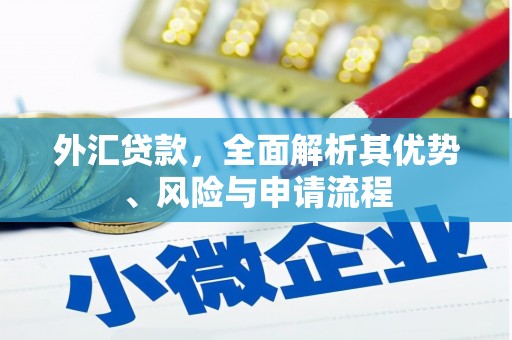 涉县外汇贷款，全面解析其优势、风险与申请流程