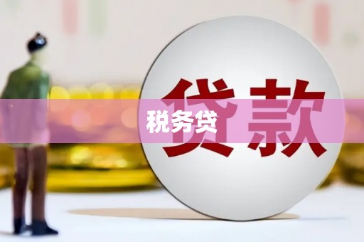 涉县税务贷