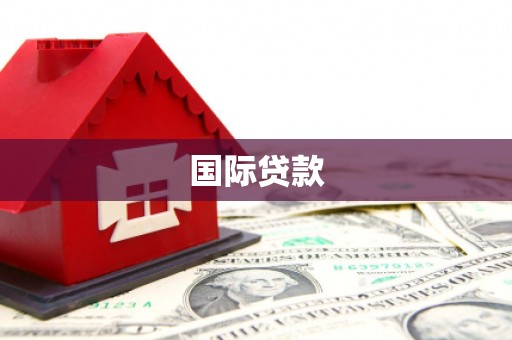 涉县国际贷款