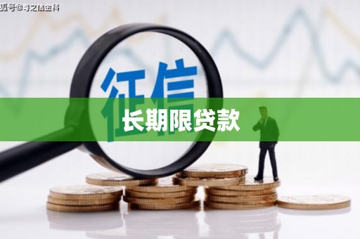 涉县长期限贷款