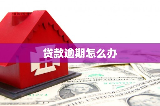 涉县贷款逾期怎么办