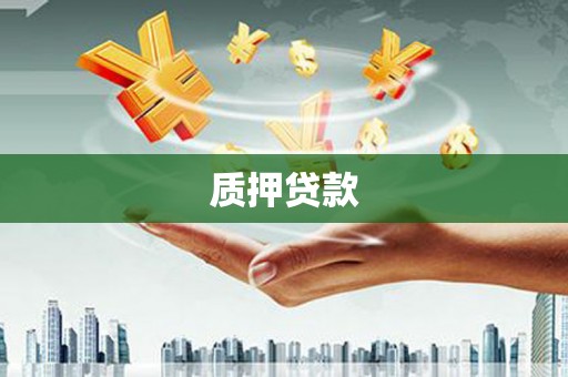 涉县质押贷款