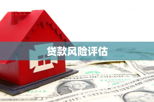 涉县贷款风险评估