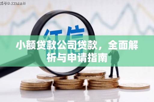 涉县小额贷款公司贷款，全面解析与申请指南