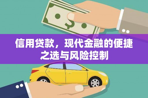 涉县信用贷款，现代金融的便捷之选与风险控制