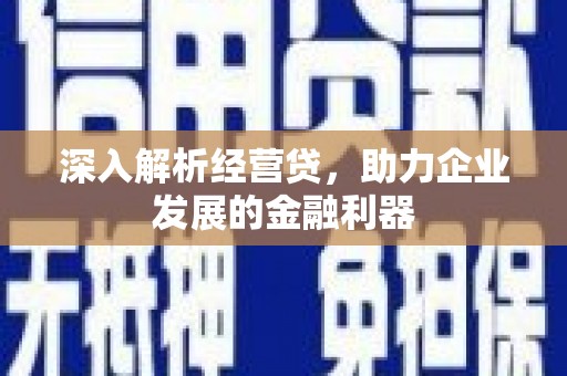 涉县深入解析经营贷，助力企业发展的金融利器