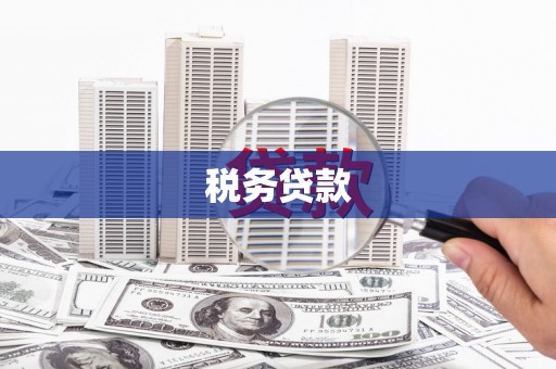 涉县税务贷款