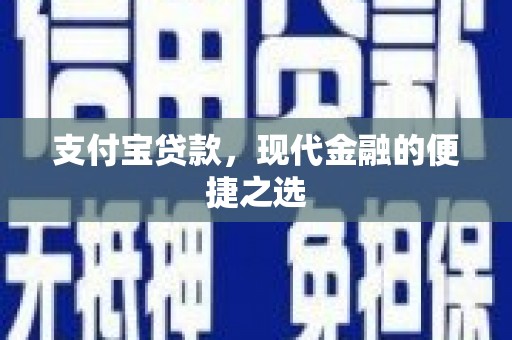涉县支付宝贷款，现代金融的便捷之选