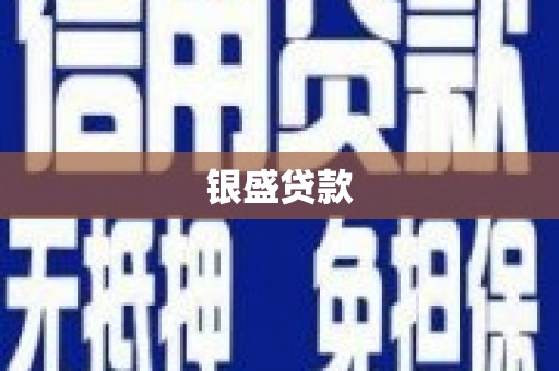涉县银盛贷款
