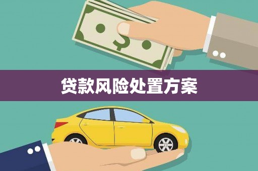 涉县贷款风险处置方案