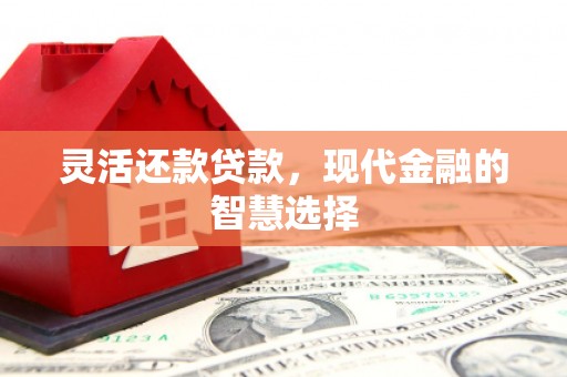 涉县灵活还款贷款，现代金融的智慧选择