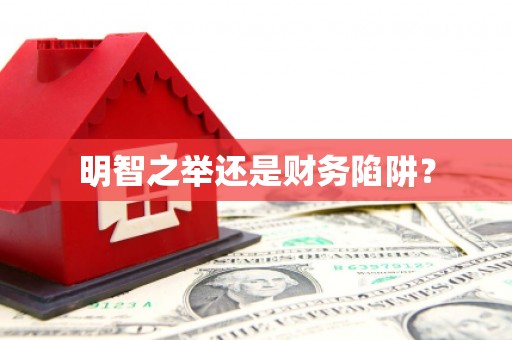 涉县明智之举还是财务陷阱？