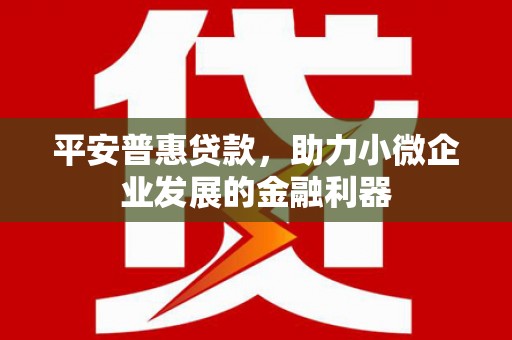 涉县平安普惠贷款，助力小微企业发展的金融利器
