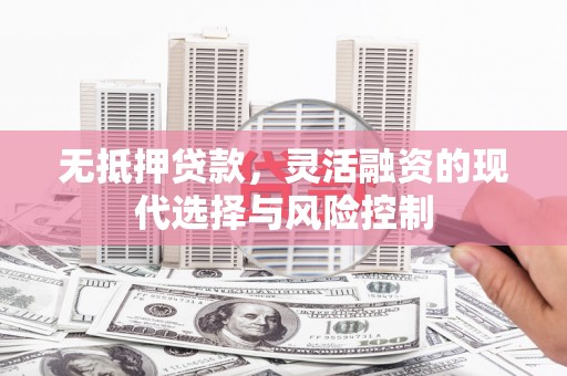 涉县无抵押贷款，灵活融资的现代选择与风险控制