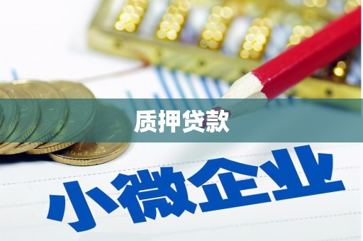 涉县质押贷款
