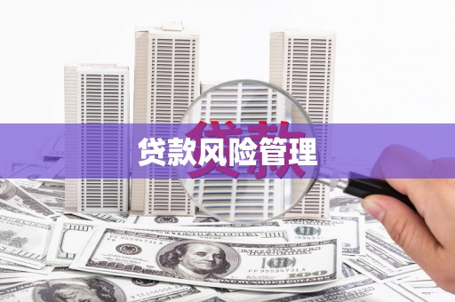 涉县贷款风险管理