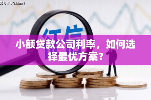 涉县小额贷款公司利率，如何选择最优方案？