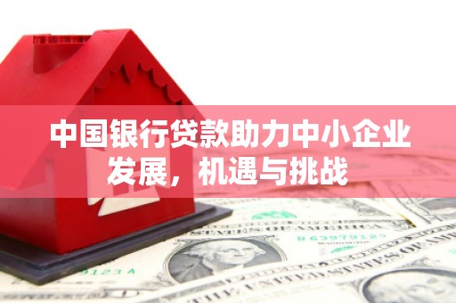 涉县中国银行贷款助力中小企业发展，机遇与挑战