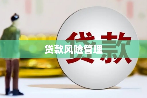涉县贷款风险管理