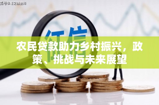 涉县农民贷款助力乡村振兴，政策、挑战与未来展望