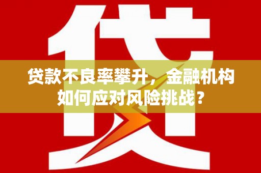 涉县贷款不良率攀升，金融机构如何应对风险挑战？