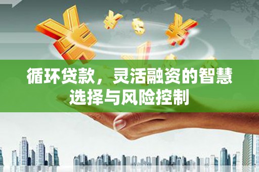 涉县循环贷款，灵活融资的智慧选择与风险控制
