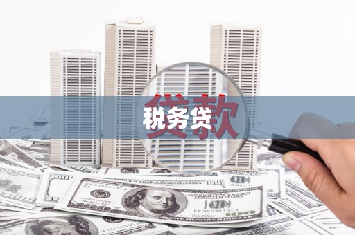 涉县税务贷