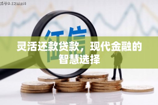 涉县灵活还款贷款，现代金融的智慧选择