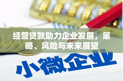 涉县经营贷款助力企业发展，策略、风险与未来展望