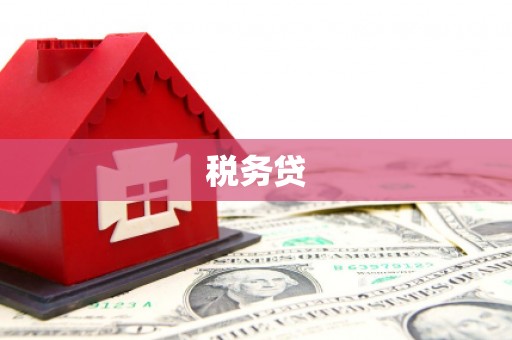 涉县税务贷