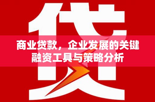 涉县商业贷款，企业发展的关键融资工具与策略分析