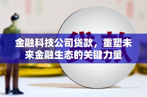 涉县金融科技公司贷款，重塑未来金融生态的关键力量