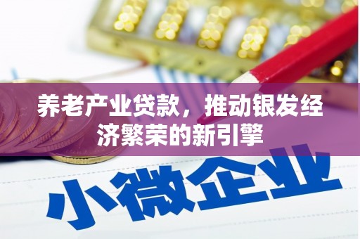 涉县养老产业贷款，推动银发经济繁荣的新引擎