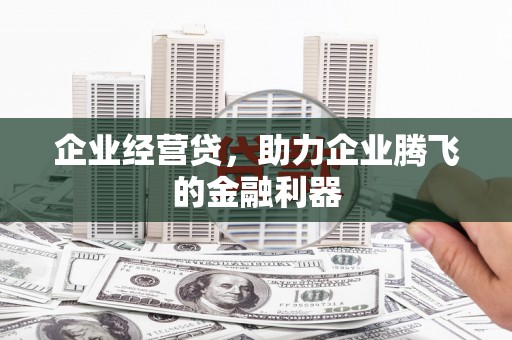 涉县企业经营贷，助力企业腾飞的金融利器