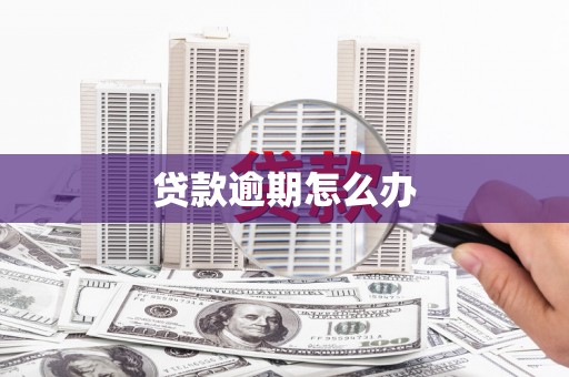 涉县贷款逾期怎么办