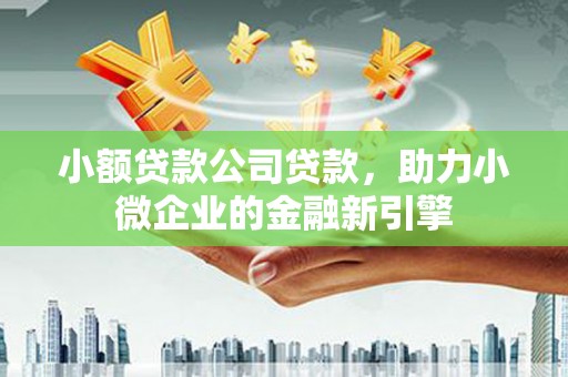涉县小额贷款公司贷款，助力小微企业的金融新引擎