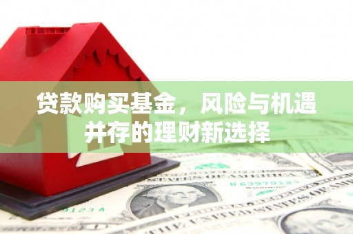 涉县贷款购买基金，风险与机遇并存的理财新选择