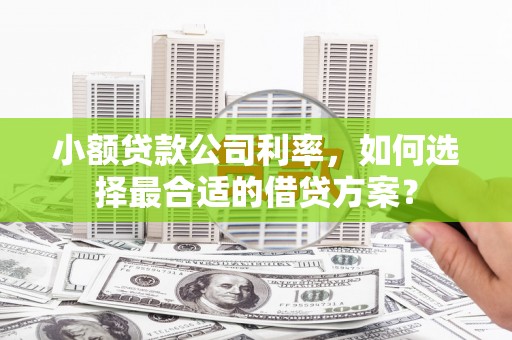 涉县小额贷款公司利率，如何选择最合适的借贷方案？