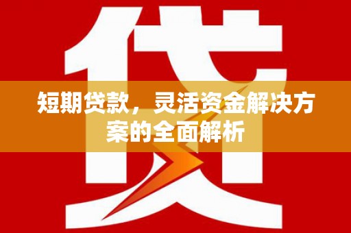 涉县短期贷款，灵活资金解决方案的全面解析