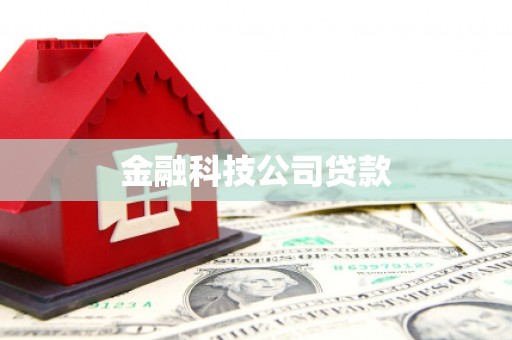 涉县金融科技公司贷款