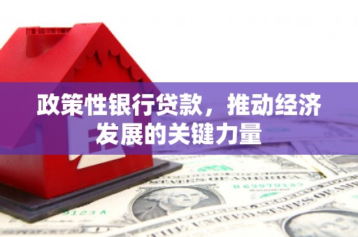 涉县政策性银行贷款，推动经济发展的关键力量