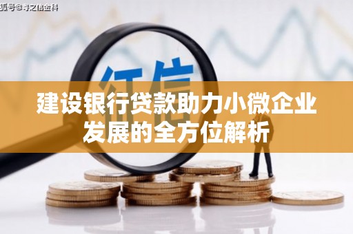 涉县建设银行贷款助力小微企业发展的全方位解析