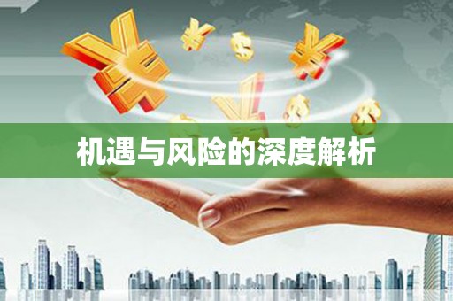 涉县机遇与风险的深度解析