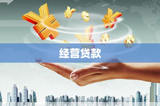 涉县经营贷款